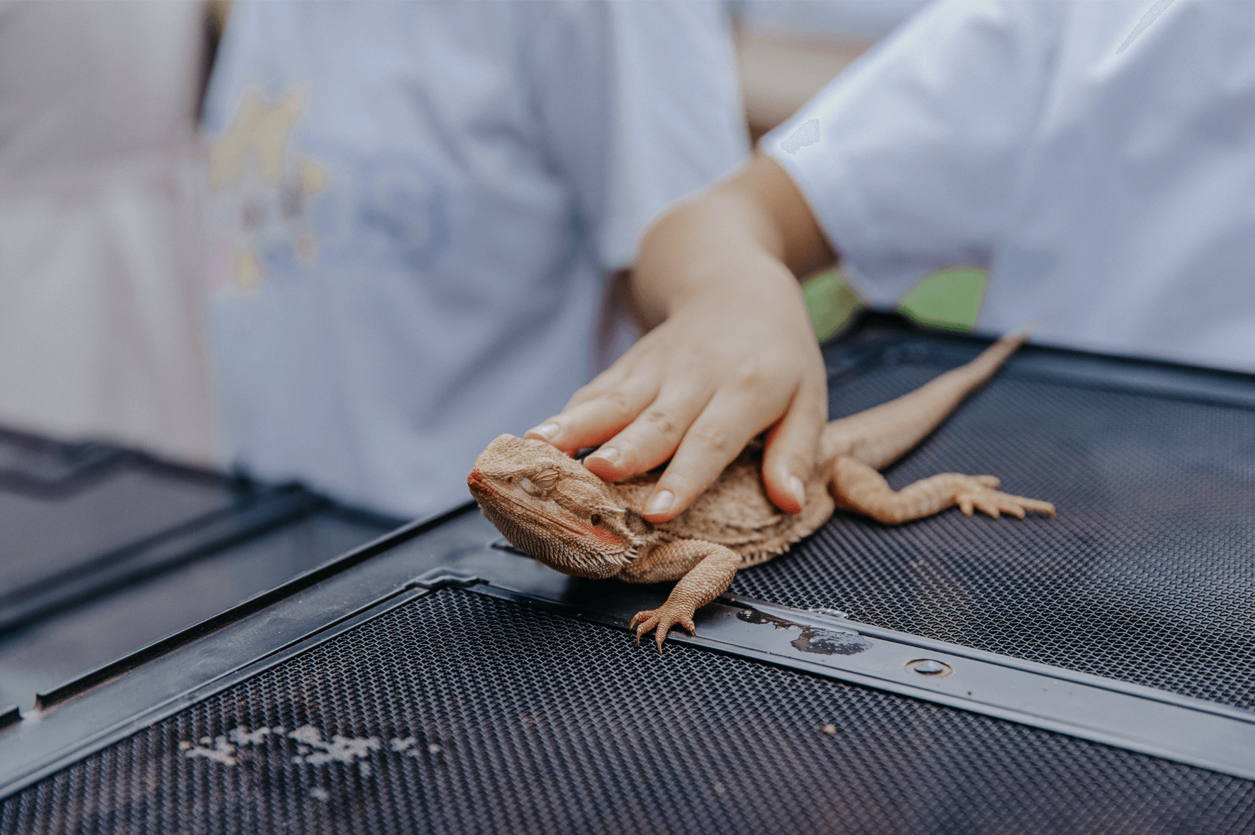 截屏2023-04-12 下午9.41.48